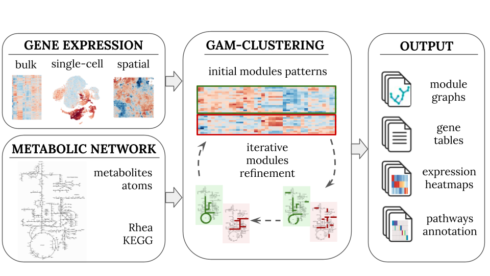 GAMclust workflow