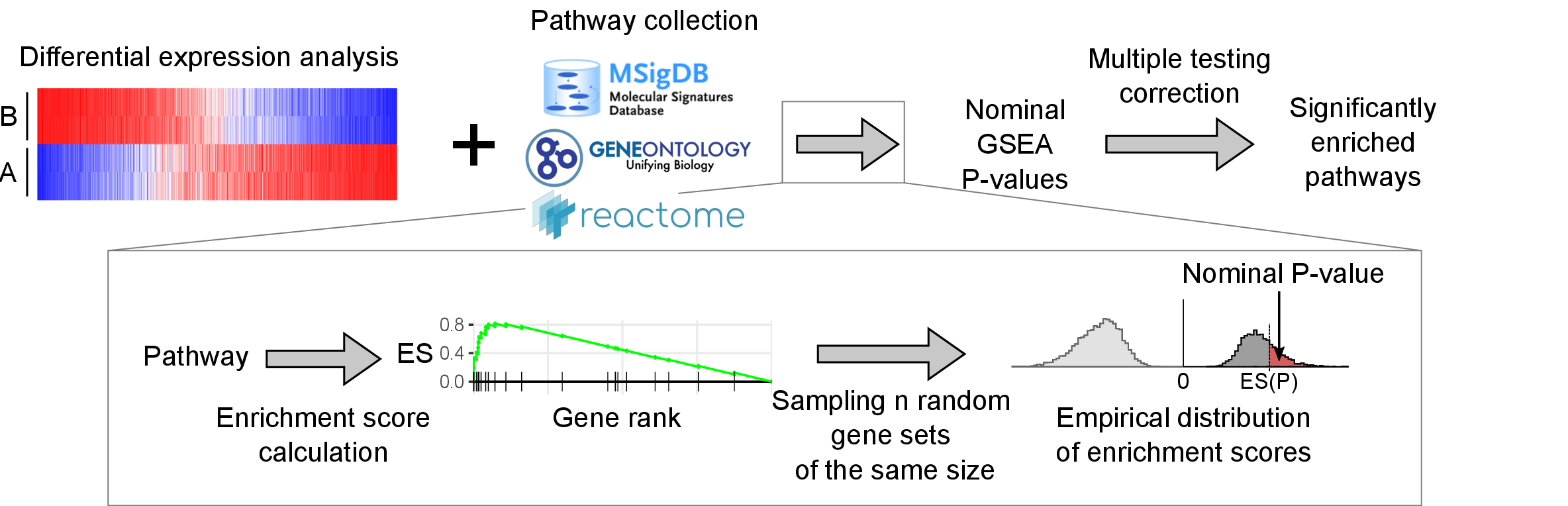 Fast gene set enrichment analysis