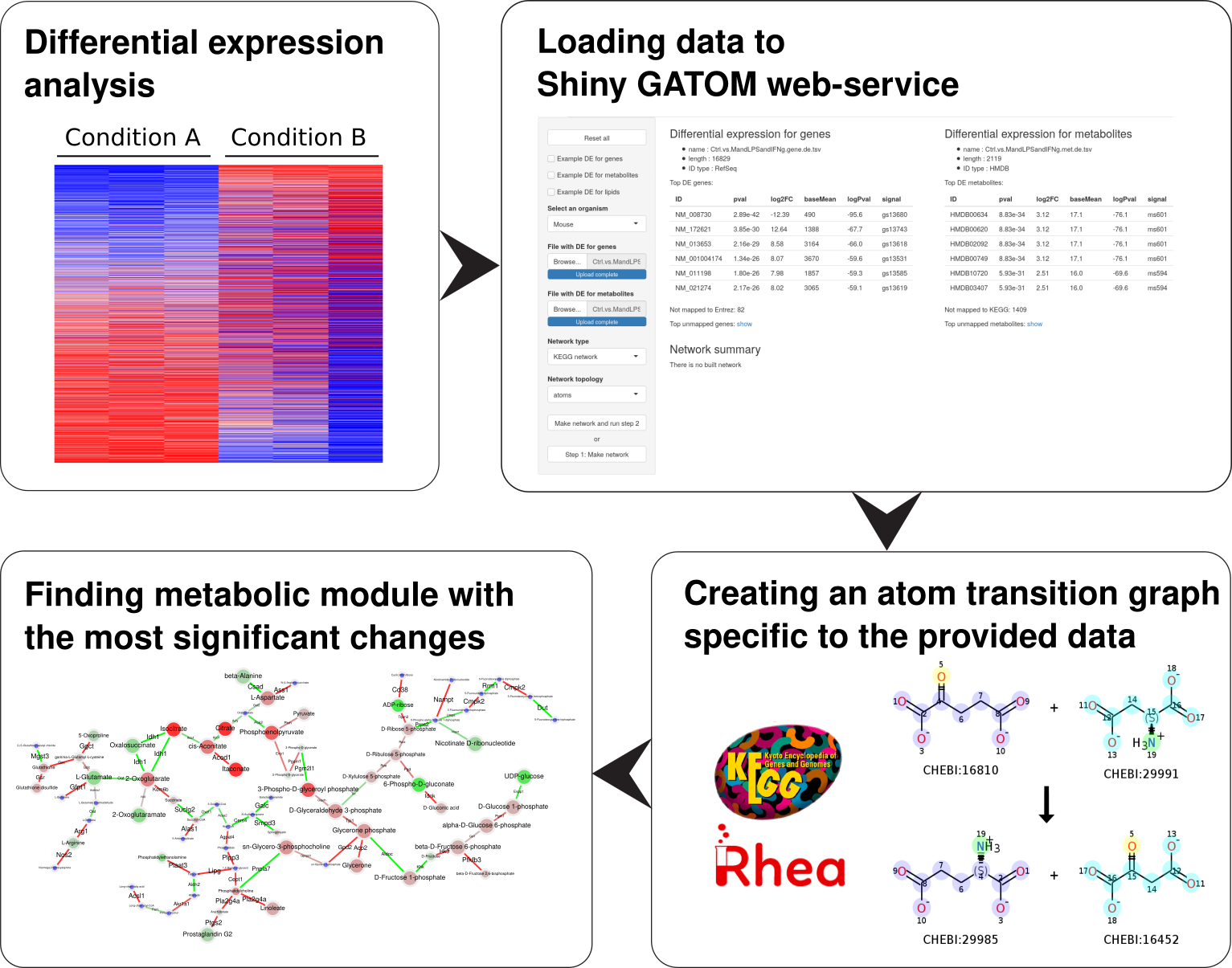 Network Analysis